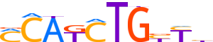 OLIG2.H13INVITRO.1.P.B motif logo (OLIG2 gene, OLIG2_HUMAN protein)