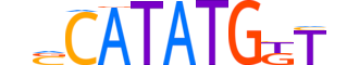 OLIG3.H13INVITRO.0.SM.B motif logo (OLIG3 gene, OLIG3_HUMAN protein)