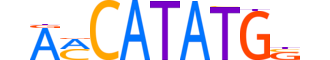 OLIG3.H13INVITRO.0.SM.B reverse-complement motif logo (OLIG3 gene, OLIG3_HUMAN protein)