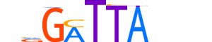 OTX1.H13INVITRO.0.SM.B motif logo (OTX1 gene, OTX1_HUMAN protein)