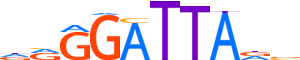 OTX2.H13INVITRO.0.PSM.A motif logo (OTX2 gene, OTX2_HUMAN protein)