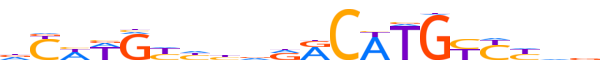 P53.H13INVITRO.0.P.B motif logo (TP53 gene, P53_HUMAN protein)