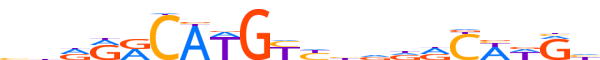 P53.H13INVITRO.0.P.B reverse-complement motif logo (TP53 gene, P53_HUMAN protein)