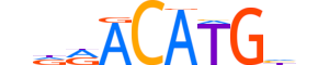 P53.H13INVITRO.1.S.C reverse-complement motif logo (TP53 gene, P53_HUMAN protein)