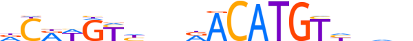 P63.H13INVITRO.0.PS.A motif logo (TP63 gene, P63_HUMAN protein)