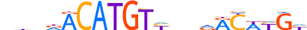 P63.H13INVITRO.0.PS.A reverse-complement motif logo (TP63 gene, P63_HUMAN protein)