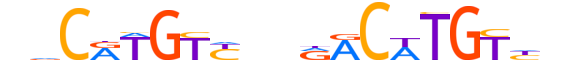 P73.H13INVITRO.0.PS.A motif logo (TP73 gene, P73_HUMAN protein)