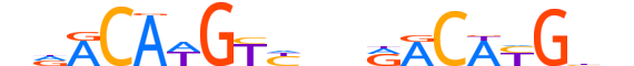 P73.H13INVITRO.0.PS.A reverse-complement motif logo (TP73 gene, P73_HUMAN protein)