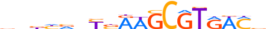 PAX1.H13INVITRO.0.SM.B motif logo (PAX1 gene, PAX1_HUMAN protein)