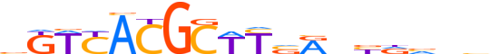 PAX1.H13INVITRO.0.SM.B reverse-complement motif logo (PAX1 gene, PAX1_HUMAN protein)