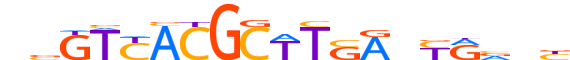 PAX2.H13INVITRO.0.SM.B reverse-complement motif logo (PAX2 gene, PAX2_HUMAN protein)