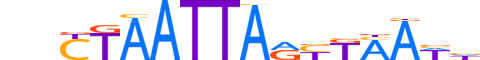 PAX4.H13INVITRO.1.S.C motif logo (PAX4 gene, PAX4_HUMAN protein)