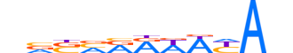 PHF21A.H13INVITRO.0.B.B motif logo (PHF21A gene, PF21A_HUMAN protein)