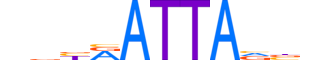 PHX2B.H13INVITRO.1.SM.B reverse-complement motif logo (PHOX2B gene, PHX2B_HUMAN protein)