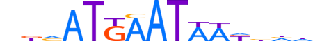 PIT1.H13INVITRO.1.S.B motif logo (POU1F1 gene, PIT1_HUMAN protein)