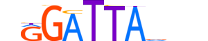 PITX2.H13INVITRO.0.SM.B motif logo (PITX2 gene, PITX2_HUMAN protein)