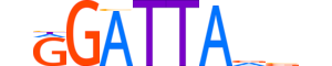 PITX3.H13INVITRO.0.SM.B motif logo (PITX3 gene, PITX3_HUMAN protein)