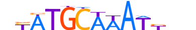 PO2F2.H13INVITRO.0.PSM.A motif logo (POU2F2 gene, PO2F2_HUMAN protein)