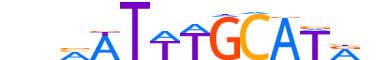 PO2F2.H13INVITRO.0.PSM.A reverse-complement motif logo (POU2F2 gene, PO2F2_HUMAN protein)