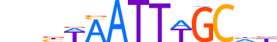 PO2F3.H13INVITRO.0.PS.A reverse-complement motif logo (POU2F3 gene, PO2F3_HUMAN protein)