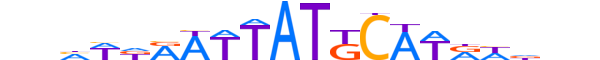 PO3F1.H13INVITRO.1.PS.A motif logo (POU3F1 gene, PO3F1_HUMAN protein)