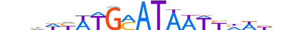 PO3F1.H13INVITRO.1.PS.A reverse-complement motif logo (POU3F1 gene, PO3F1_HUMAN protein)