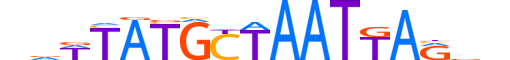 PO3F1.H13INVITRO.3.M.C motif logo (POU3F1 gene, PO3F1_HUMAN protein)