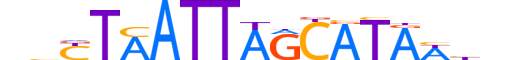 PO3F1.H13INVITRO.3.M.C reverse-complement motif logo (POU3F1 gene, PO3F1_HUMAN protein)