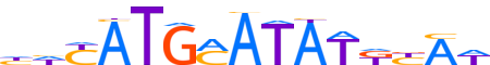 PO3F2.H13INVITRO.0.P.B motif logo (POU3F2 gene, PO3F2_HUMAN protein)