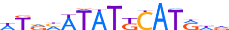 PO3F2.H13INVITRO.0.P.B reverse-complement motif logo (POU3F2 gene, PO3F2_HUMAN protein)