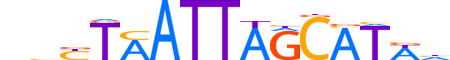 PO3F2.H13INVITRO.2.SM.B motif logo (POU3F2 gene, PO3F2_HUMAN protein)