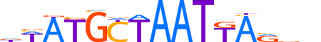 PO3F2.H13INVITRO.2.SM.B reverse-complement motif logo (POU3F2 gene, PO3F2_HUMAN protein)