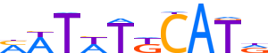 PO3F3.H13INVITRO.0.P.C reverse-complement motif logo (POU3F3 gene, PO3F3_HUMAN protein)