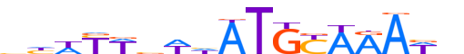 PO5F1.H13INVITRO.0.P.B motif logo (POU5F1 gene, PO5F1_HUMAN protein)