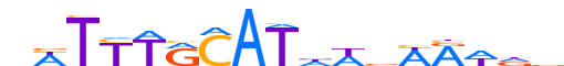 PO5F1.H13INVITRO.0.P.B reverse-complement motif logo (POU5F1 gene, PO5F1_HUMAN protein)