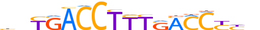 PPARD.H13INVITRO.0.PSM.A reverse-complement motif logo (PPARD gene, PPARD_HUMAN protein)