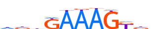 PRDM1.H13INVITRO.0.S.B motif logo (PRDM1 gene, PRDM1_HUMAN protein)