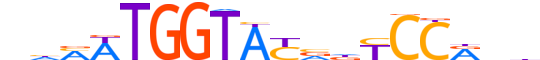 PRDM10.H13INVITRO.0.PSGI.A motif logo (PRDM10 gene, PRD10_HUMAN protein)