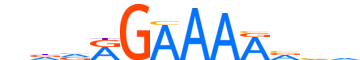 PRDM6.H13INVITRO.0.P.D motif logo (PRDM6 gene, PRDM6_HUMAN protein)