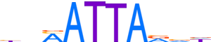 PROP1.H13INVITRO.1.P.C motif logo (PROP1 gene, PROP1_HUMAN protein)