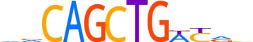 PTF1A.H13INVITRO.1.PS.A reverse-complement motif logo (PTF1A gene, PTF1A_HUMAN protein)