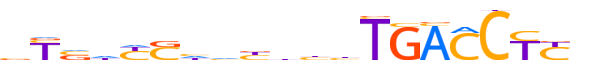 RARA.H13INVITRO.1.P.B reverse-complement motif logo (RARA gene, RARA_HUMAN protein)