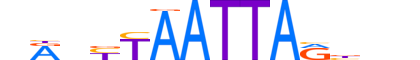 RAX2.H13INVITRO.0.S.B motif logo (RAX2 gene, RAX2_HUMAN protein)