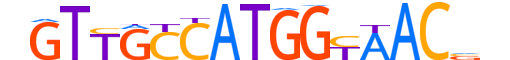 RFX1.H13INVITRO.1.PSM.A reverse-complement motif logo (RFX1 gene, RFX1_HUMAN protein)
