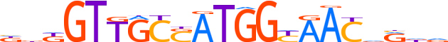 RFX5.H13INVITRO.0.PSG.A motif logo (RFX5 gene, RFX5_HUMAN protein)