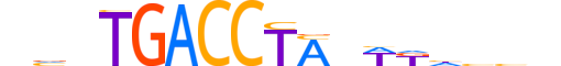 RORB.H13INVITRO.0.SM.B reverse-complement motif logo (RORB gene, RORB_HUMAN protein)