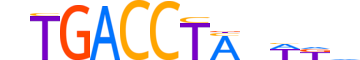 RORG.H13INVITRO.1.PS.A reverse-complement motif logo (RORC gene, RORG_HUMAN protein)