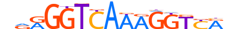 RXRB.H13INVITRO.1.SM.B motif logo (RXRB gene, RXRB_HUMAN protein)