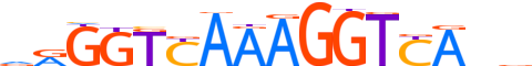 RXRG.H13INVITRO.1.SM.B motif logo (RXRG gene, RXRG_HUMAN protein)