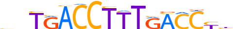 RXRG.H13INVITRO.1.SM.B reverse-complement motif logo (RXRG gene, RXRG_HUMAN protein)